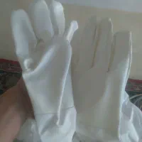 لباس ودستکش زنبور