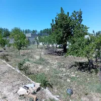 زمین-سندتک-برگ-500م-تهراندشت-حاجی-آباد