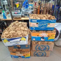تنباکو. لنگه ای