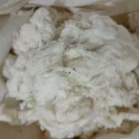 پنبه