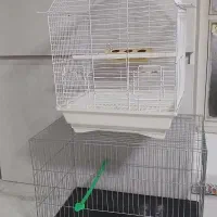 قفس پرنده