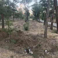 تعداد۱۰۰۰عدداجرکارکرده درحدنو