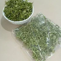 کاکوتی(آنخ)