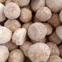 کشک تماما محلی