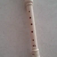 فولوت وتنبک