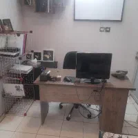 منشی و دستیار مدیر عامل نیروی خدماتی