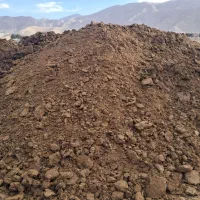 کود گاوی