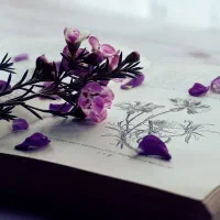 تدریس خصوصی عربی آنلاین و آفلاین