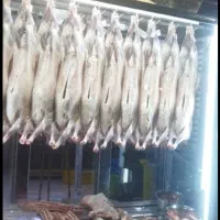 ذبح گوسفند
