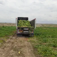 آریا|خودرو سنگین|بستان آباد, |دیوار