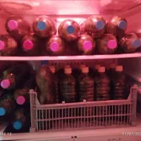 برگ دلمه انگور