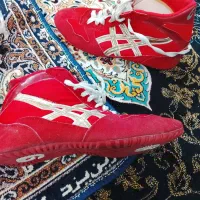 کفش کشتی سایز42