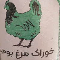 خوراک مرغ بومی