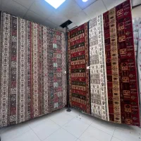 بلوچ لاکی ۲۴ ماهه سلیمانی