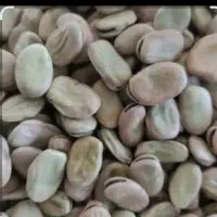 باقلا