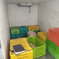استخدام راننده نیسان. حقوق روزانه ۹۰۰هزار تومان