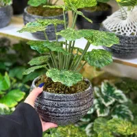 درختچه مصنوعی زیبا