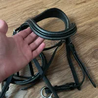 کلگی به همراه آبخوری ژرمن