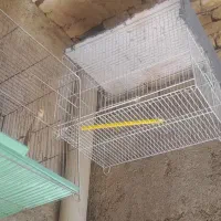 قفس