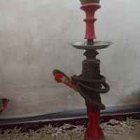 قلیون تنه چوب گردو