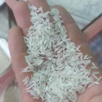غذا و خوراک دام و طیور زینتی