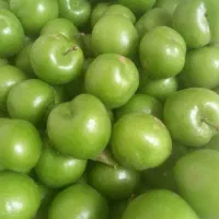 گوجه سبز