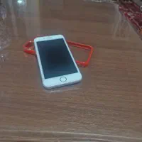 گوشی|موبایل|بناب, |دیوار