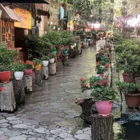 ۳۰۰ متر تجاری با ارتفاع ۶ متر