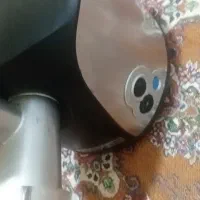 چرخ گوشت
