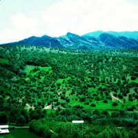 ملک-یاسمن-5-قطعه-دوم-به-پارک