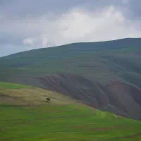 خط تلفن ثابت ۲۲۹۸۰۸۱۴