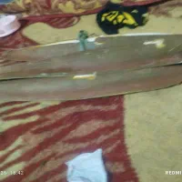 بو وگرد افشانی نخل تنگستان