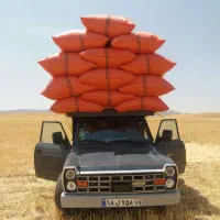 فروش کاه گندم دیم با نیسان