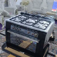 فرگاز Raybon