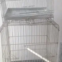 قفس