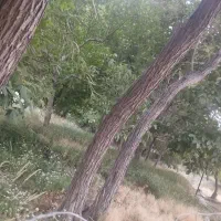 فروش زمین