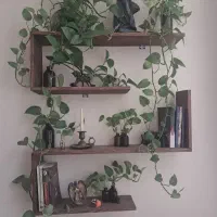 گلدان شیشه ای پتوس