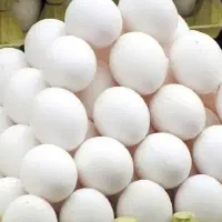 تخم مرغ ماشینی سفید