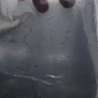 کیسه زباله مشکی درجه یک