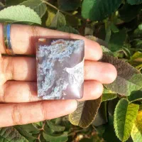 نگین شجر سلیمانی سوسنی وقیره