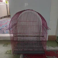 قفس مینا فنچ برزیلی مرغ عشق و...