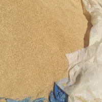 فروش ۳تن گندم
