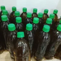 روغن زیتون اصل طارم