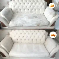 تخصص ما فقط شستن مبل است چون کارمان مبل است