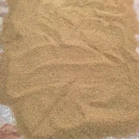 چلتوک علاء