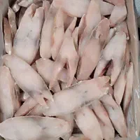 ماهی شیرگالیت