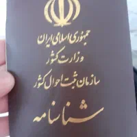 پیداشده