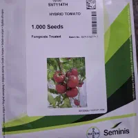 بذر گوجه گلخانه ای