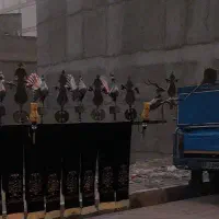 غزال پرشی علامت