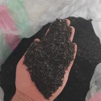 شکسته ممتاز بهاره ۱۴۰۵